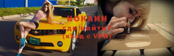 меф Снежинск