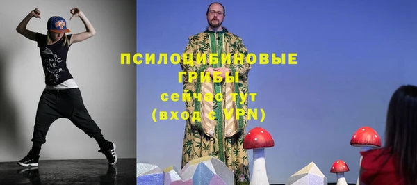 гидра Аркадак