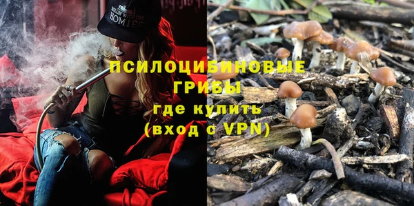 гидра Аркадак