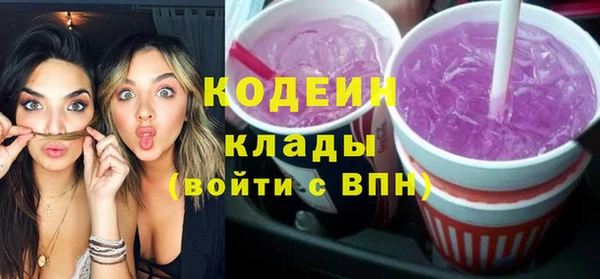 меф Снежинск