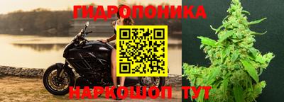наркотики Бердск
