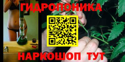 ГАЛЛЮЦИНОГЕННЫЕ ГРИБЫ Ачхой-Мартан