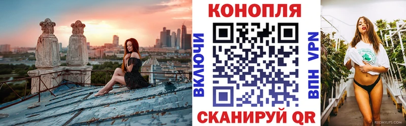 купить   Бахчисарай  Каннабис тримм 