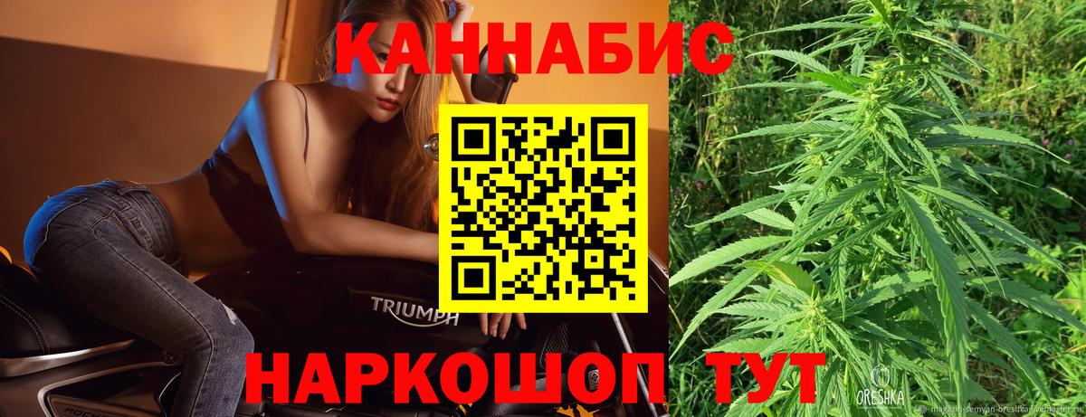 Конопля гибрид Бахчисарай